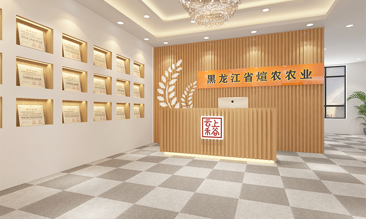 新兴力量1.jpg